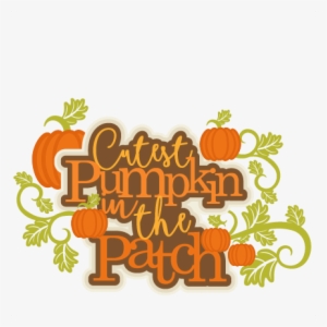 Cutest Pumpkin In The Patch Title Svg Scrapbook Cut - Free Cute Pumpkin Patch Graphics