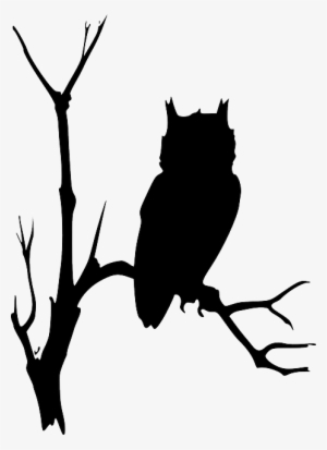 Free Vector Graphic - Owl In Tree Silhouette