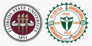Tenure Track Faculty Position In Chemical And Biomedical - Famu Fsu College Of Engineering Logo