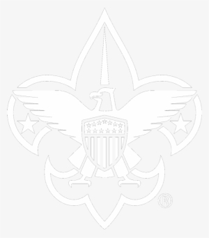 Boy Scouts - Scout Me In Logo