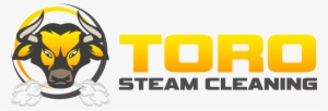 toro steam cleaning - illustration