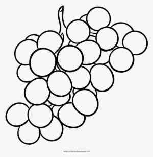 Delighted Grapes Coloring Page Grape Ultra Pages - Desnho De Frutas Para Colorir