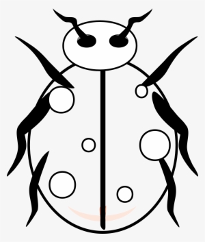 Printable Ladybug Coloring Pages - Coloring Book