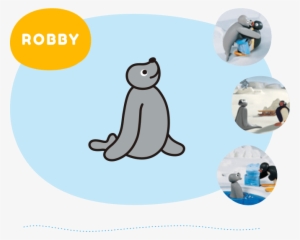 Robby Is An Energetic And Enthusiastic Seal, And He - Website