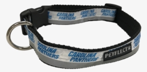 Carolina Panthers Dog Collar - Belt