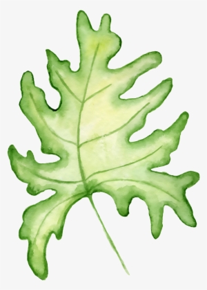 Hand Painted A Large Leaf Png Transparent - Portable Network Graphics