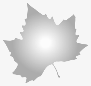 Maple Leaf White Png