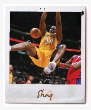 Shaq - Shaq Shaquille O'neal Signed La Lakers 8x10 Photo +