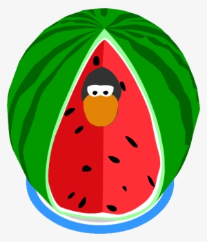 Watermelon Costume Ig