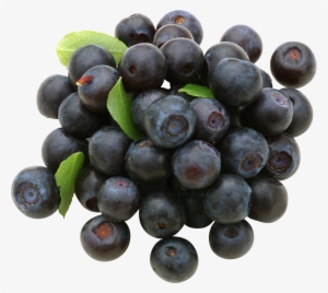 Blueberry