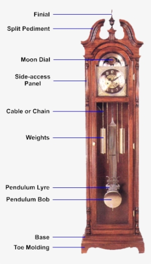 A Typical Grandfather Clock - Anatomy Of A Pendulum Clock