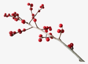 Christmas Branch Decoration - Twigs And Berries Png