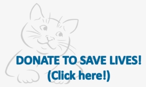Donate Logo - Blank Sketchbook For Cat People