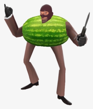 Has Science Gone Too Far, Spy As A Fucking Croissant - Dirty Gardener Congo Watermelon Seeds - 100 Seeds
