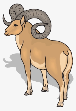 Ram Horns Clip Art At Vector Clip Art - Rocky Mountain Bighorn Sheep Cartoon