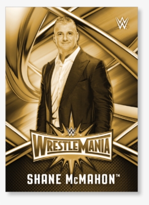 Shane Mcmahon - Official Wwe The Shows Hard Back Case