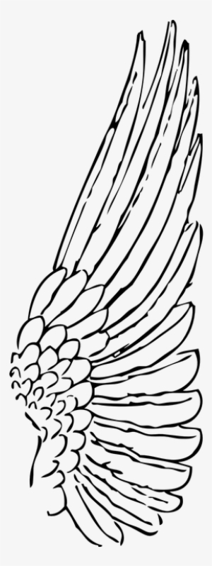 Free Image On Pixabay - Wing Clipart