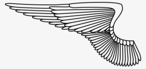 Wing - Air Force Wings Png
