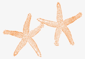 Orange Starfish Clipart - Clipart Starfish No Background