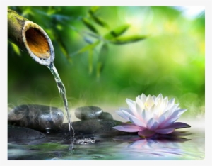Green Bamboo Spout - Dhyana Yoga