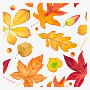 Hand Drawn Autumn Leaves Falling Leaves Vector - Autumn