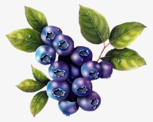 Décorations Diverses - Wild Blueberry Clipart