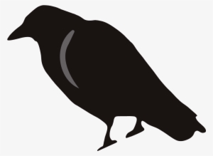 Brds Clipart Rook - Crow Silhouette
