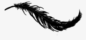 Raven Feather Png - Feather Black And White Png