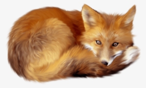 Download - Fox With Transparent Background