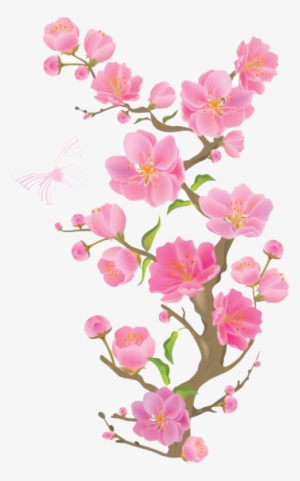 Spring - Cherry Blossom Transparent Background