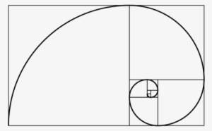 fibonacci spiral