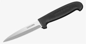 Cutlery Sharpening - Kitchen Paring Knife