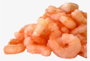 Free Icons Png - Cooked And Peeled Shrimp