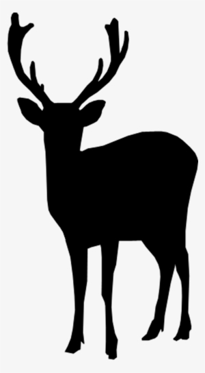 Deer Silhouette - Transparent Deer Png