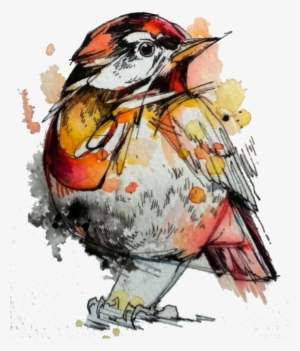 Watercolor Painting Drawing Artist - Watercolour And Ink Artists