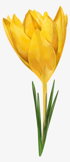 Watercolor Flowers For Collages - Watercolor Flower Png Yellow