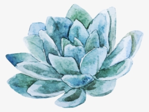 Picture - Vector Succulents Watercolor Png
