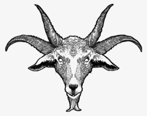Tog Goat - Goat Skull Png