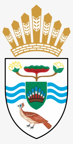 Presidential Arms Guyana - Arms Of The President Of Guyana