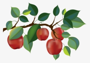 Jpg Transparent Download Apple Orchard Picking Clip - Apple Tree Branch Clipart