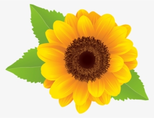 Clip Art Sun Flower