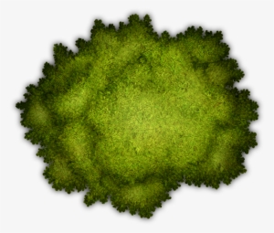 Map Marker, Broccoli, Tabletop Rpg, Game Assets, Character - Dnd Tree Png