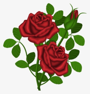 Rose Bush Clipart Dozen Red Roses - Roses Clipart