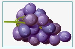Grapes Vector One - Grape Clipart Png