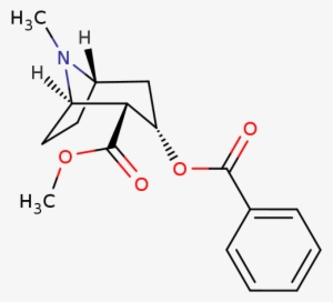 1 2 Diphenyl Cyclobutane