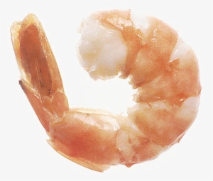 Shrimp Png Download Image - Jumbo Shrimp Size