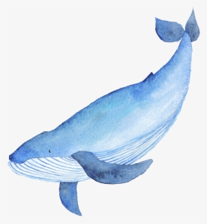 Blue Hand Drawn Whale Cartoon Watercolor Png - Illustration Of Whale