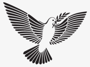 Svg Black And White Download The And Png For Free Download - Drawing