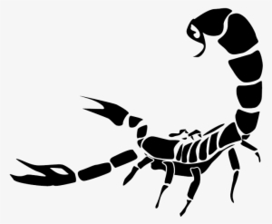 Scorpion - Scorpion Png
