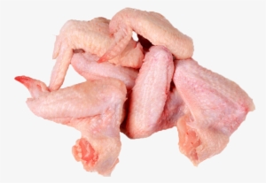 Chickenwings - Raw Chicken Wings